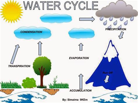 Mrs Smallwoods Science Classes The Water Cycle Posters