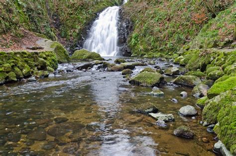 Glenoe Waterfall Stock Photo Image Of Countryside Cascade 18086718