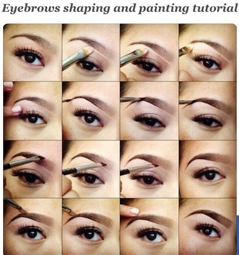 Eyebrows Shaping And Makeup Step By Step Tutorial Musely