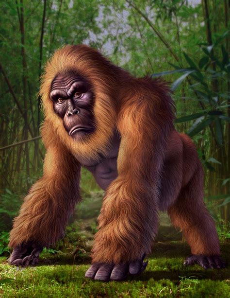 43 Best Images About Humanoid Apes On Pinterest Bigfoot Sasquatch