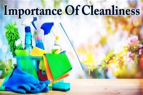 Importance Of Cleanliness