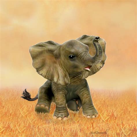 Beautiful African Baby Elephant Digital Art By Glenn Holbrook Pixels