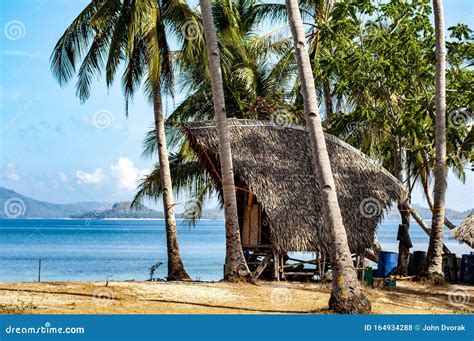 Tropical Island Beach Hut Stock Photos Download 8613 Royalty Free Photos