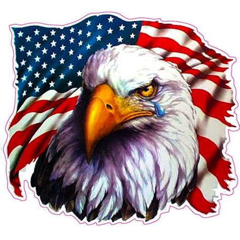 American Flag Eagle Crying Large 8 Decal Free Shipping In