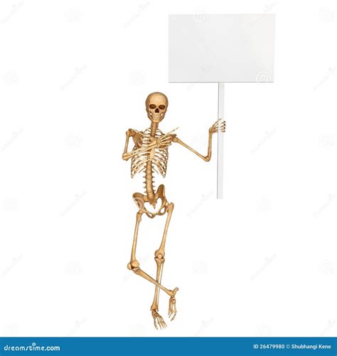 skeleton holding a sign board stock illustration illustration of nose human 26479980