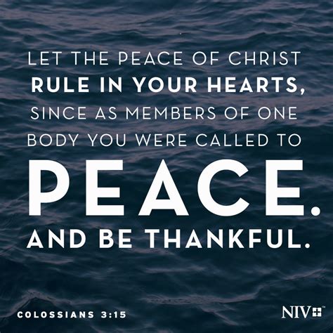 Niv Verse Of The Day Colossians 315