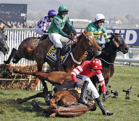 Vaccine adverse event reporting system (vaers), there were 85 reported deaths following influenza vaccination in 2017; How many horses have died at Cheltenham Festival? Number ...