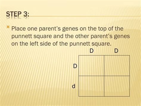 PPT How To Do A Punnett Square In 5 Easy Steps PowerPoint