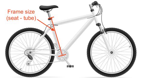 If you do not want to see the white border you will need to trim them off first before measuring. Mountain Bike Size Chart
