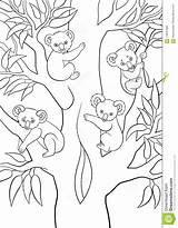 Koala Coloring Coloritura Siedono Bambini sketch template