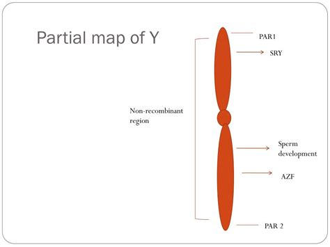 Ppt Matters Of Sex Chapter 6 Powerpoint Presentation Free Download