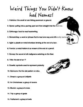 Weird Things You Didn T Know Had Names By Awesome French Lesson Plans