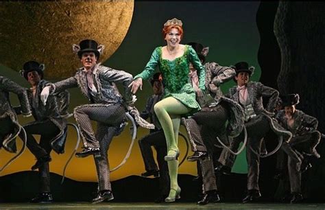 Princess Fiona Sutton Foster Trajes De Broadway Shrek Musicales
