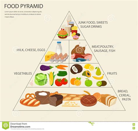 Food Pyramid Healthy Eating Infographic Vector ...