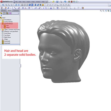 Male Human Head Solidworks 3dm