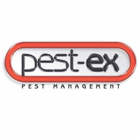 Set up traps to capture the different pests while repairing the damages before the installations get totaled. Pest-Ex Termite & Pest Control Brisbane - Australian ...