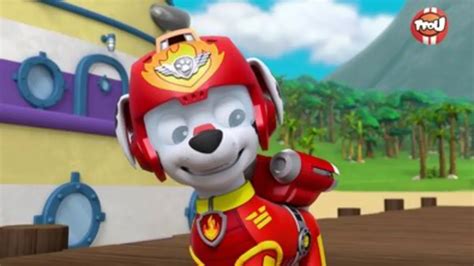 Replay Tfou Du 29122023 Paw Patrol La Patpatrouille Lair