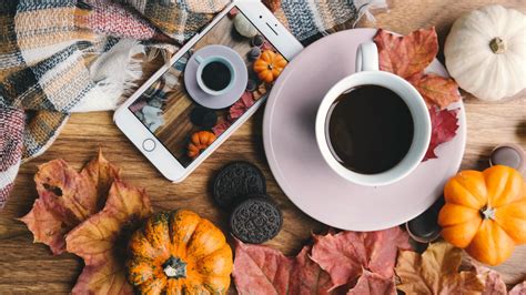 Download Wallpaper Autumn Coffee Pumpkins Leaves 1366x768