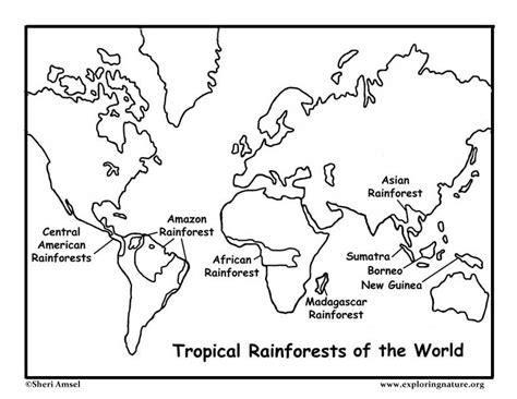 Map Of Rainforests In The World