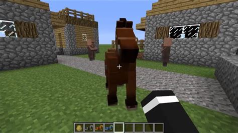This video will go through what is the best armor, and what are the best enchantments for minecraft java 1.16. QUICK VIDEO - Minecraft - Horses, Armour, and Villagers ...