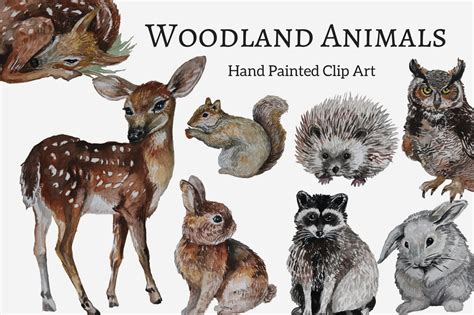 Save 15% on istock using the promo code. Woodland Animals Hand painted Clip Art Set (57890 ...