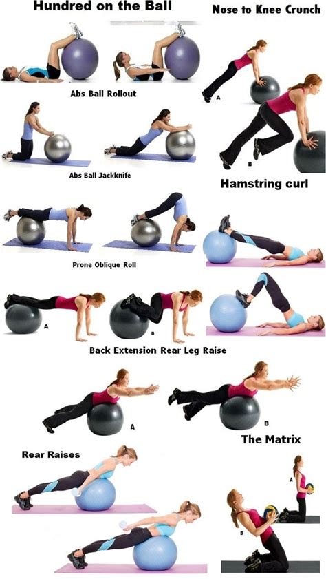 Ball Workout Treino Com Bola De Exercício Exercícios Com Bola Exercícios De Yoga