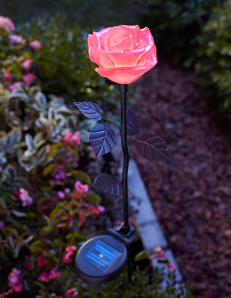 Moonrays 91405 Solar Powered Led Flower Stake Light Pink Rose Led