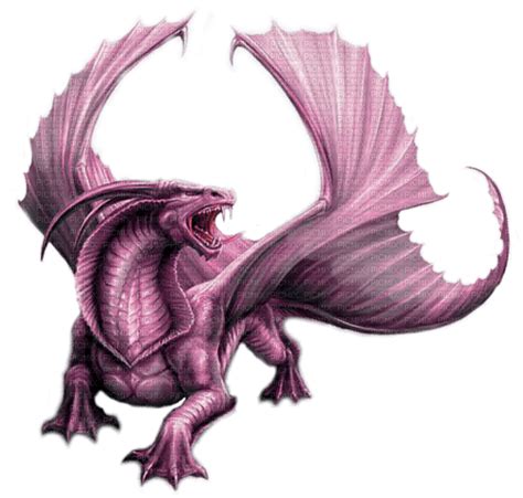 Pink Dragon By Nataliplus Pink Dragon Fantasy Gothic Stokes