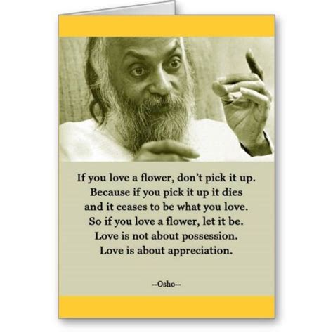osho quote valentines day anniversary card brilliant quote inspirational quotes up quotes