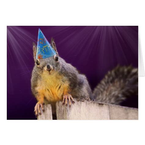 Birthday Squirrel Photo Greeting Card Zazzle