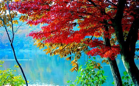 2k Free Download Autumn Lake Colors Autumn Season Lake Hd