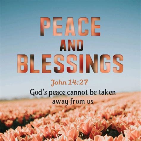 Peace And Blessings Daily Devotional Christians 911 Learn Teach
