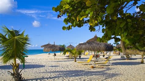 Eagle Beach Aruba Caribbean Attractions Lonely Planet