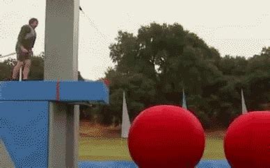 Total Wipeout Gifs That Ll Make You Chuckle Gallery Ebaum S World