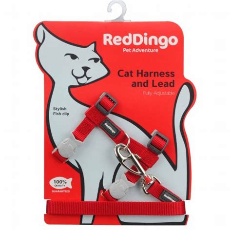 Red Dingo Classic Cat Harness And Lead Combo Red Pets Trend Store
