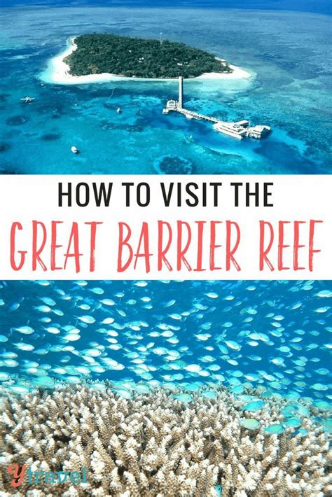 How To Visit The Great Barrier Reef Tours From Cairns Great Barrier