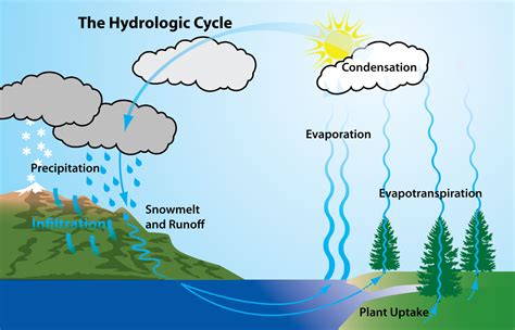 Diagram Explanation Of Water Cycle With The Diagram Mydiagramonline