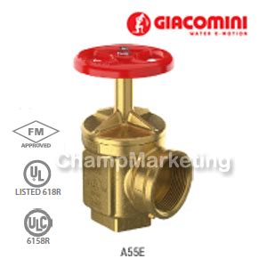 GIACOMINI A55E Angle Hose Valve Double Female Wp300psi