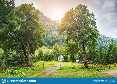 Traditional Wooden Mountain House On A Green Field In Summer Stock