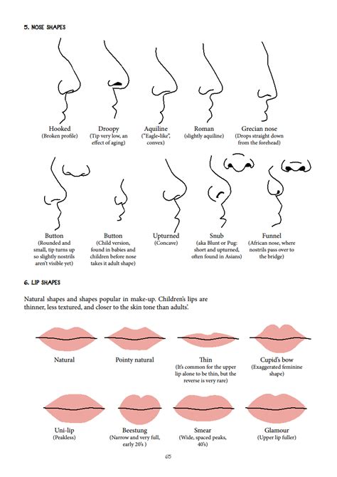 910 Nose And Lips Shapes Reference Lip Shapes Shape