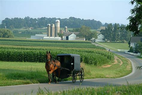 5100 Pennsylvania Amish Country Stock Photos Pictures And Royalty Free
