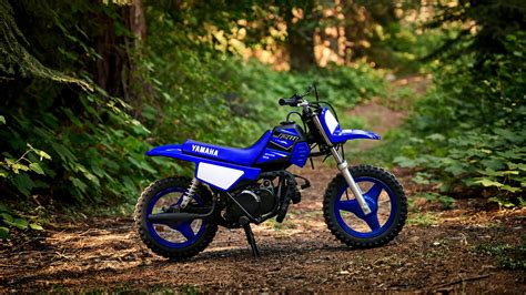 Yamaha Pw50 Features And Technical Specifications