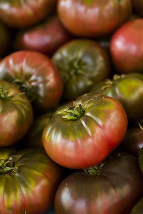 How To Grow ‘cherokee Purple Tomatoes Gardeners Path