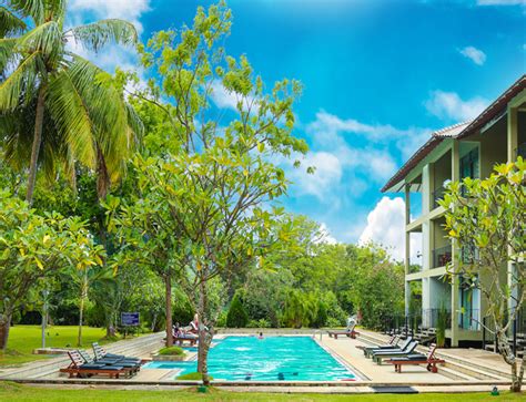 Hotel Sigiriya Sri Lanka Fresco Water Villa Sigiriya Official Site