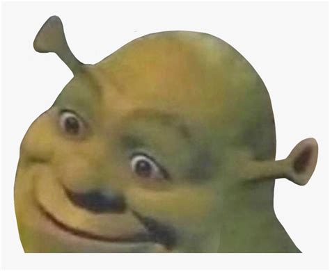 Funny Shrek Meme Face Edited Bhe