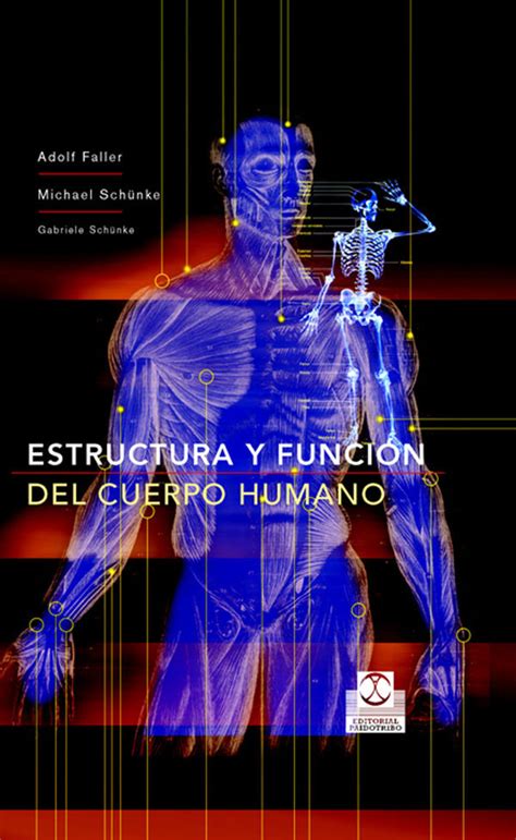 Estructura Y FunciÓn Del Cuerpo Humano Librería Deportiva