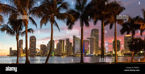 Florida Miami Skyline At Dusk Stock Photo Alamy
