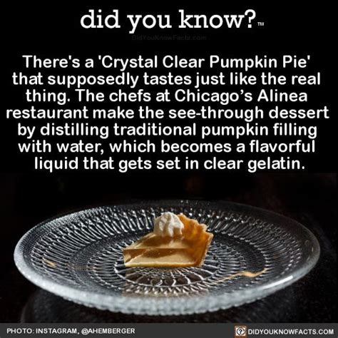 theres a crystal clear pumpkin pie that fun facts food humor wtf fun facts