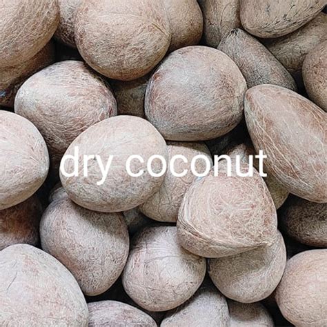 Round Dry Whole Coconut At Best Price In Delhi Suresh Trading Co