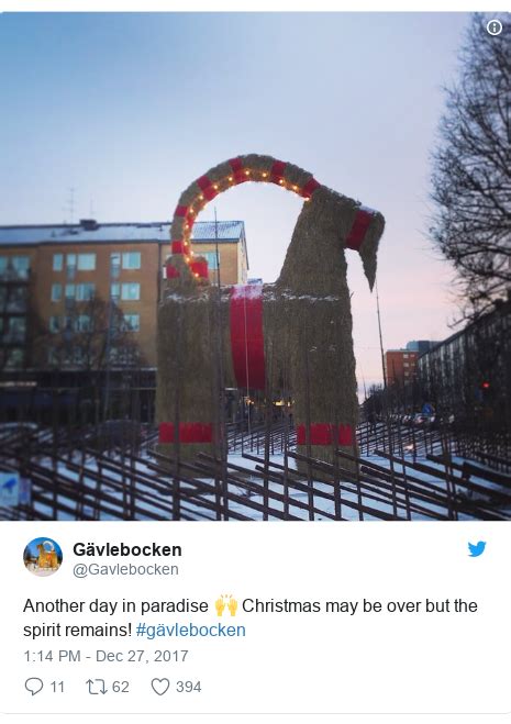 Swedens Giant Gavle Goat Survives Christmas Bbc News